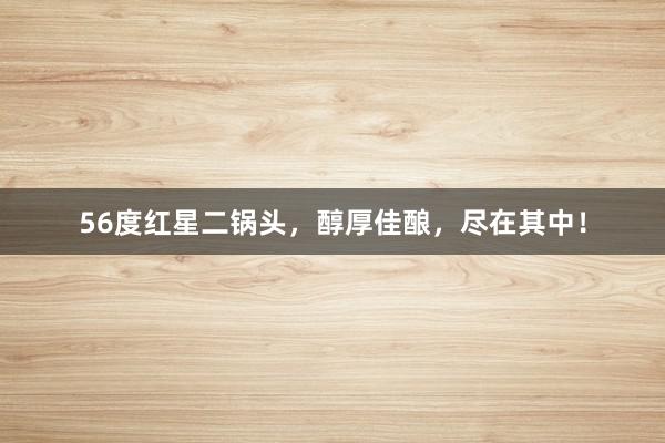 56度红星二锅头，醇厚佳酿，尽在其中！