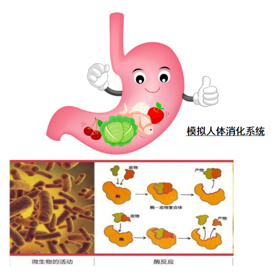 1583737521478673.png 2020030910080720.008.png