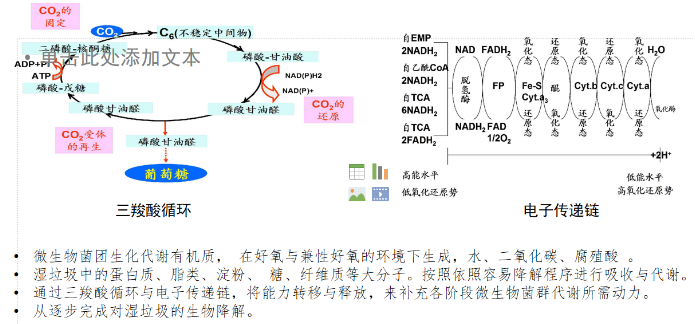 1583737495889877.png 2020030910080720.010.png