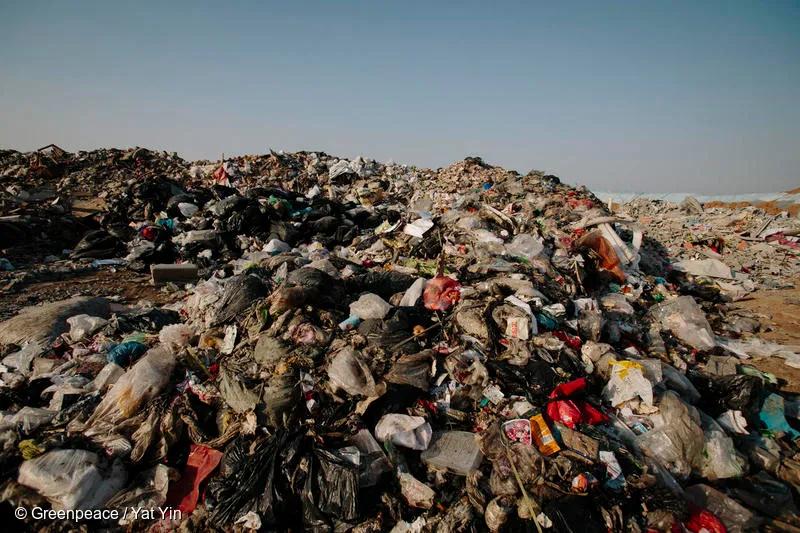 1591836952171929.jpg 2.jpg