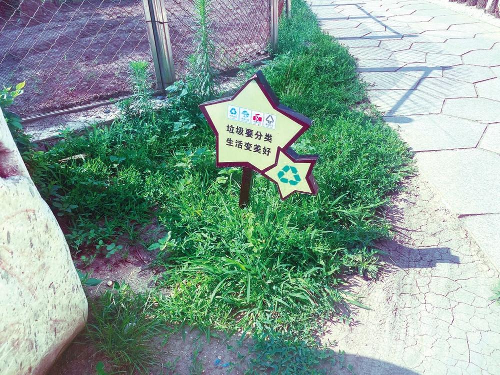 1595198378803822.jpg 2bd263e5-30b6-45af-91d0-5ebb64a9cc69.jpg.jpg